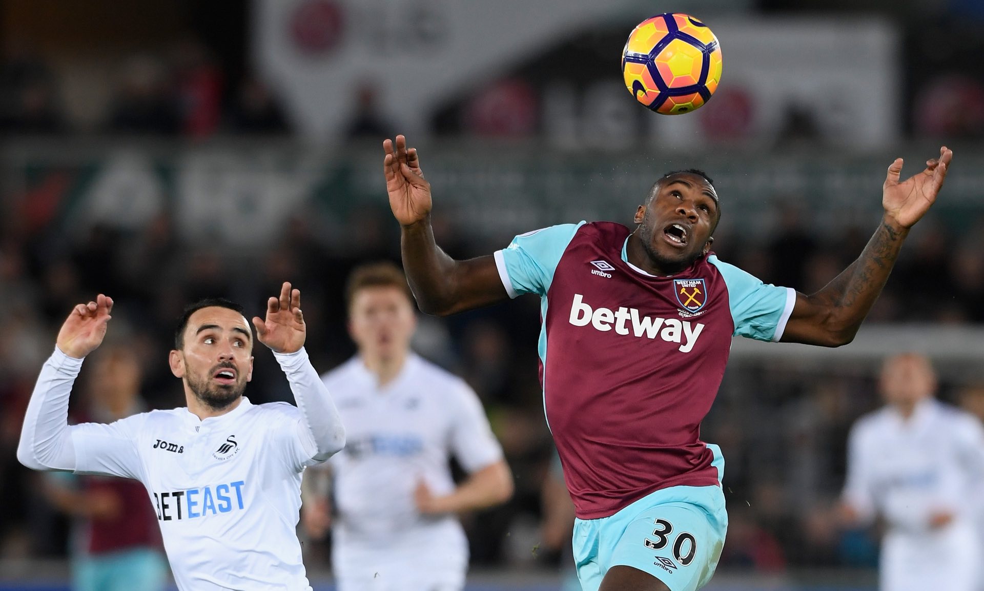 世界頂級的 世界頂級的